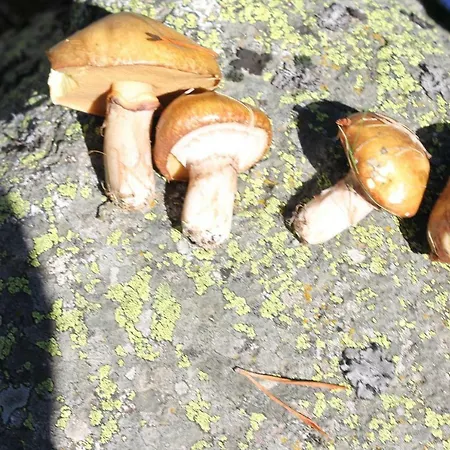 Eugenie 2 Pieces Cosy Au Calme