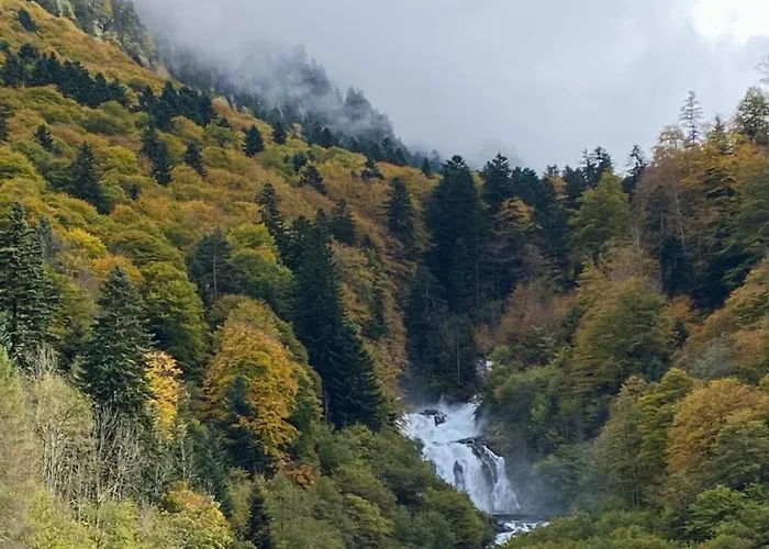 Lejlighed Eugenie 2 Pieces Cosy Au Calme *