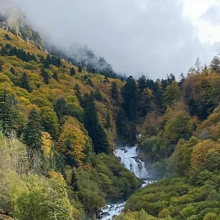 Apartament Eugenie 2 Pieces Cosy Au Calme *