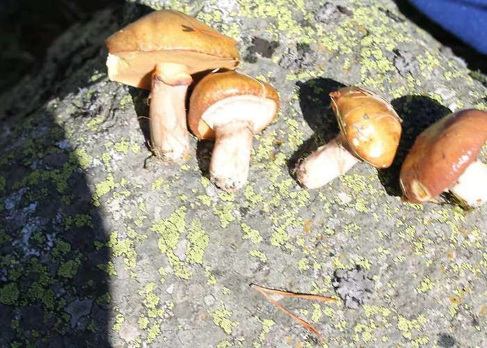 Eugenie 2 Pieces Cosy Au Calme